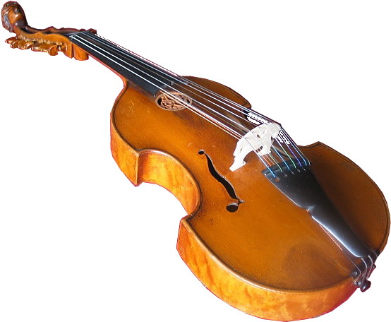File D Amore Png Transparent Background - Viola D Amore (567x462)