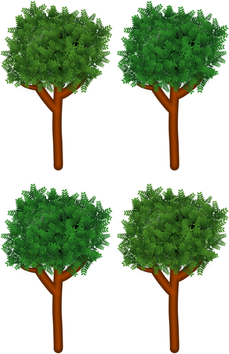 All Photo Png Clipart - Clip Art (530x750)