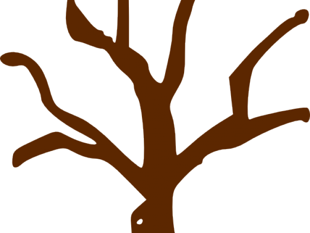 Trunk Clipart Branch Clipart - Tree Graphic Organizer Template (640x480)