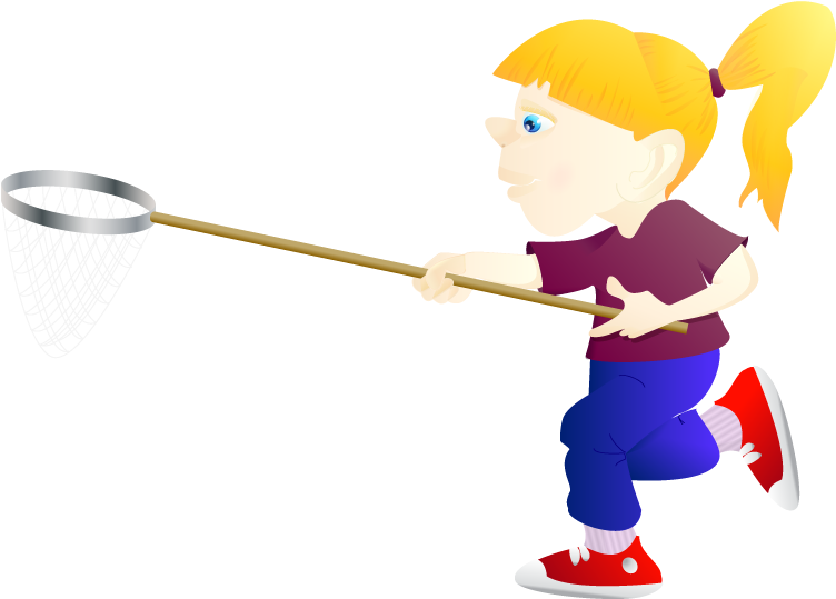 Netting Clip Butterfly Net Clip Royalty Free Stock - Butterfly Net (862x550)