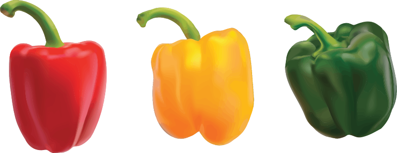 Free Download Bell Pepper Clipart Bell Pepper Chili - Pepper Red Yellow Green (800x310)