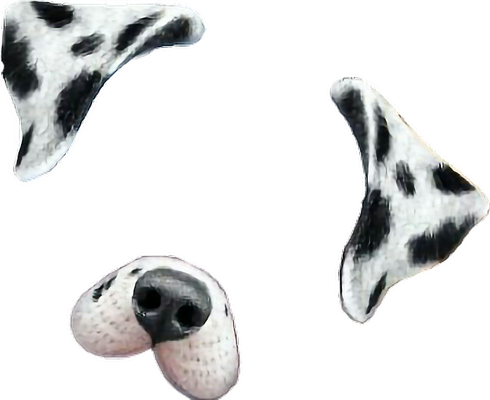 Snapchat Filters Clipart Dalmatian - Snapchat Dog Filter Png (698x570)