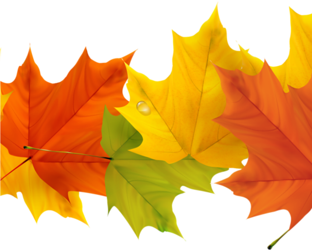 Free Fall Leaf Clip Art 19 Free Graphic Free Fall Leaves - Fall Leaves Border Transparent (1024x1024)