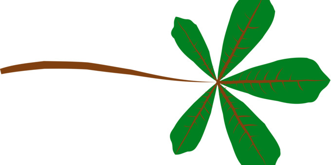 Autumn Leaf Color Plant Stem Download Green - Palmate Leaf (680x340)