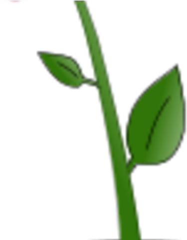 Pot Plant Clipart Planted Flower - Pink Flowers Pot Clipart (640x480)
