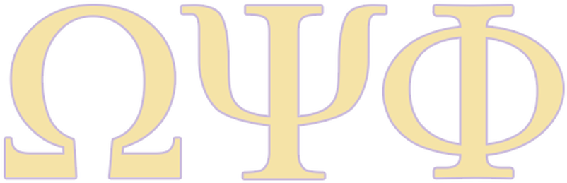 Picture - Elinchrom El26244 1 Polarizing Filter 21cm (black) (945x315)