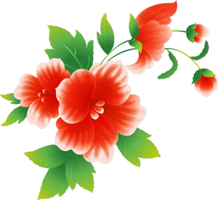 Tubes Fleurs - Hawaiian Hibiscus (436x402)