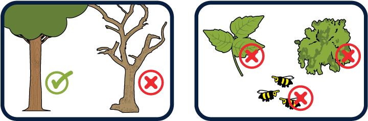 Don't Hang Your Hammock From Any Dead Trees - Don't Hang Your Hammock From Any Dead Trees (758x261)