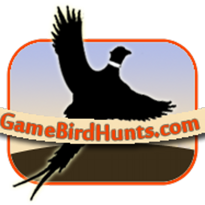 Game Bird Hunts - Seabird (400x400)