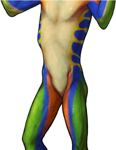 Red Eyed Tree Frog Clipart Frogs And Toad - Frog (640x480)
