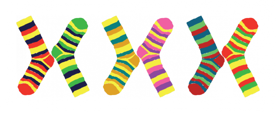 World Down Syndrome Day Socks Clipart World Down Syndrome - Odd Socks Down Syndrome (900x370)
