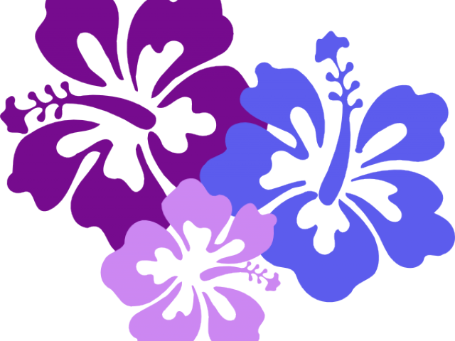 Hawaii Clipart Bunga Raya - Flower Clipart Vector (640x480)