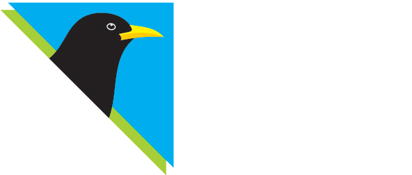 “birds Without Borders” Camp Raptor Monitoring In Kupreško - Bird (610x281)