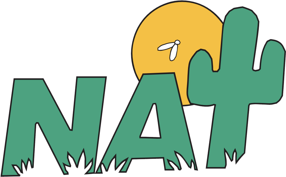 Needles Area Transit (973x592)