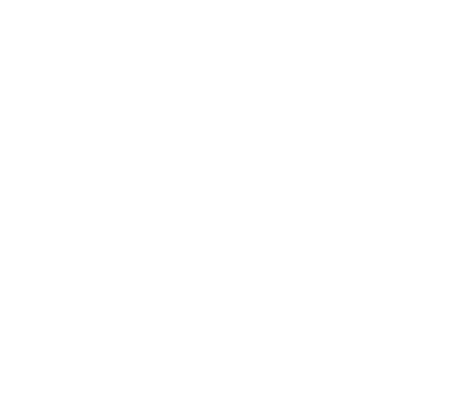 Twitter Youtube - Transparent White Twitter Logo (529x448)