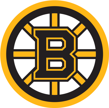 Boston Bruins Logo (500x500)