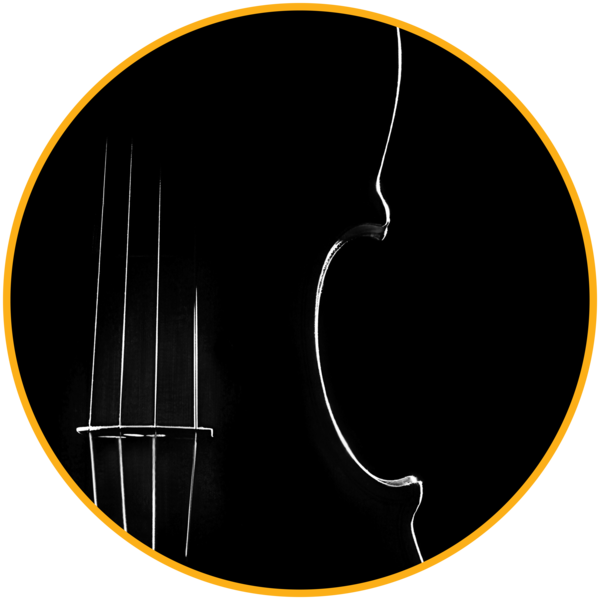 Join The Awc Civic Orchestra, The String Ambassadors, - The Spaceship Company (600x600)