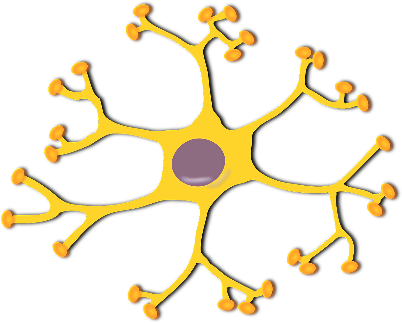 Beginners Ask “how Many Hidden Layers/neurons To Use - Interneuron Clipart (1280x1028)