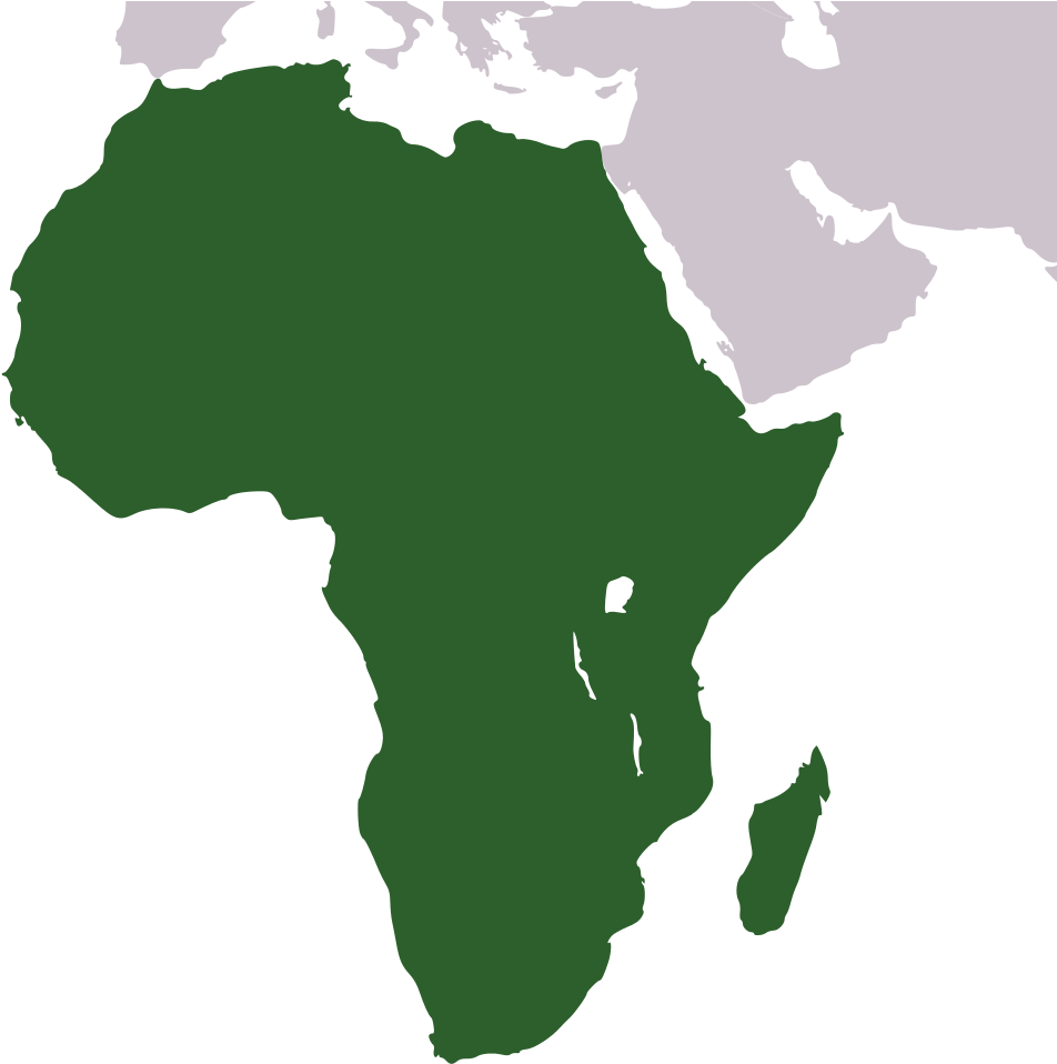 Apples Transparent File - African Map Black And White (1024x1024)