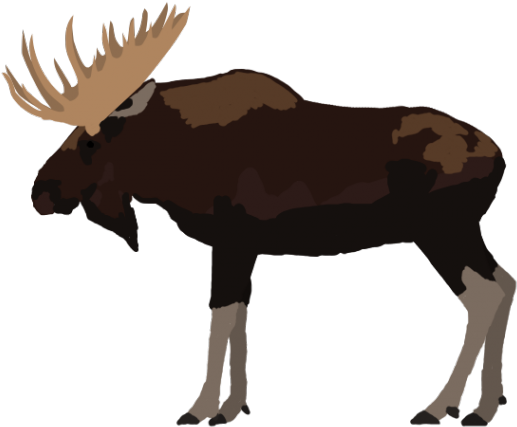 Elk Clipart Alaska Wildlife - Moose (640x480)