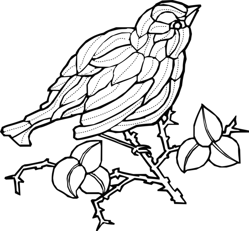 Beak Fauna Line Art Wildlife Branching - Clip Art (807x750)