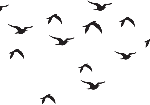 Wildlife Clipart Bird Flock - Birds Black And White Pencil (640x480)