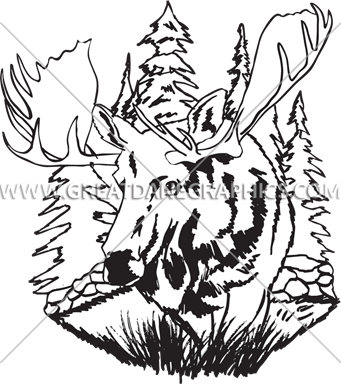 Wildlife Moose - Illustration (341x385)