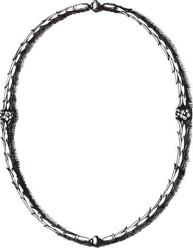 Frame Clip Art - Oval Frame Transparent Png (399x513)