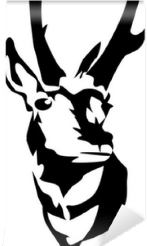 Pronghorn Clipart Antelope Head - Pronghorn Antelope Head Drawing (640x480)