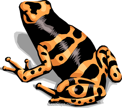 Colorful Frog Royalty Free Vector Clip Art Illustration - Animals Protect Themselves From Enemies (480x424)