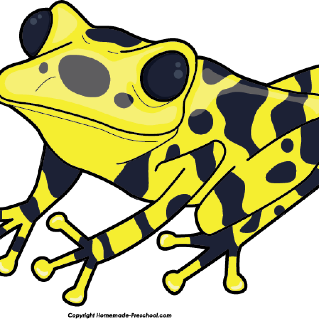 Free Fish Hatenylo Com Music - Clip Art Poison Dart Frog (1024x1024)