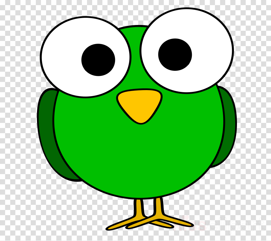 Birds With Big Eyes Clipart Bird Owl Clip Art - Bird's Eye Clip Art (900x800)