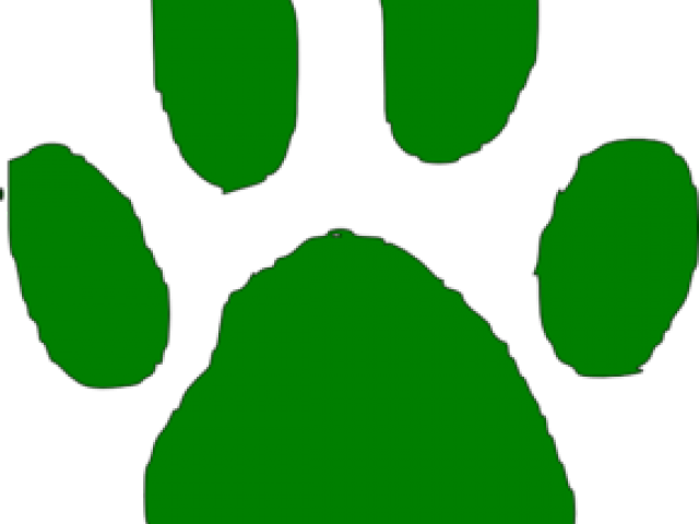 Grizzly Clipart Cougar Claw - Make Your Own Paw Print Template Sticker (640x480)