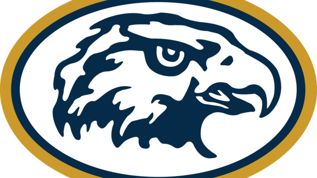 Two Write-in Candidates Will Join Incumbent Dianne - Hermantown (620x349)