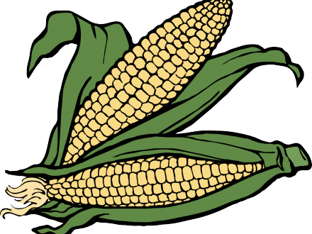 Stalk Image Free Corn Huge Freebie - Maize Corn Clipart (440x330)