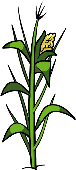 Corn Plant File - Portable Network Graphics (400x669)
