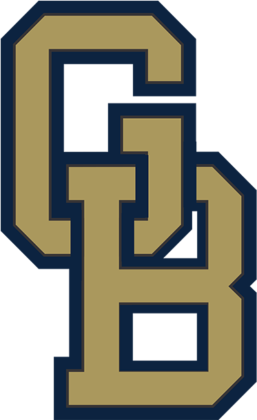 Gulf Breeze Dolphins (500x607)