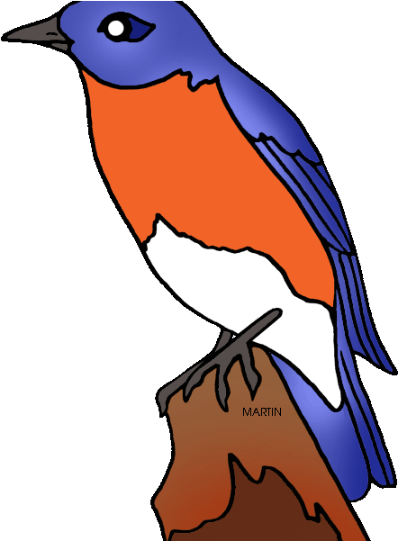 How To Draw New York State Bird United States Clip - Mo State Bird Transparent (466x600)