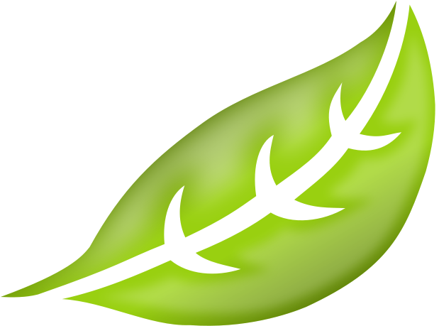 The Bottom Line More Information Required - Transport (640x480)