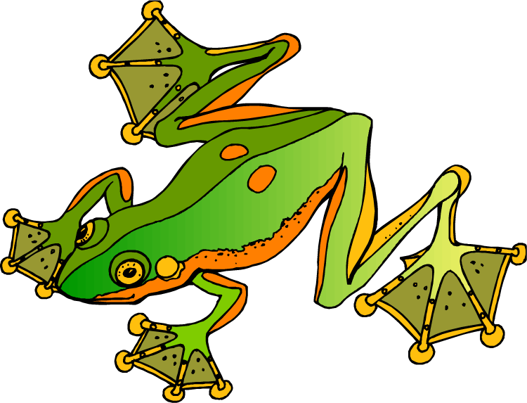 Frog Clipart - Clip Art (750x573)