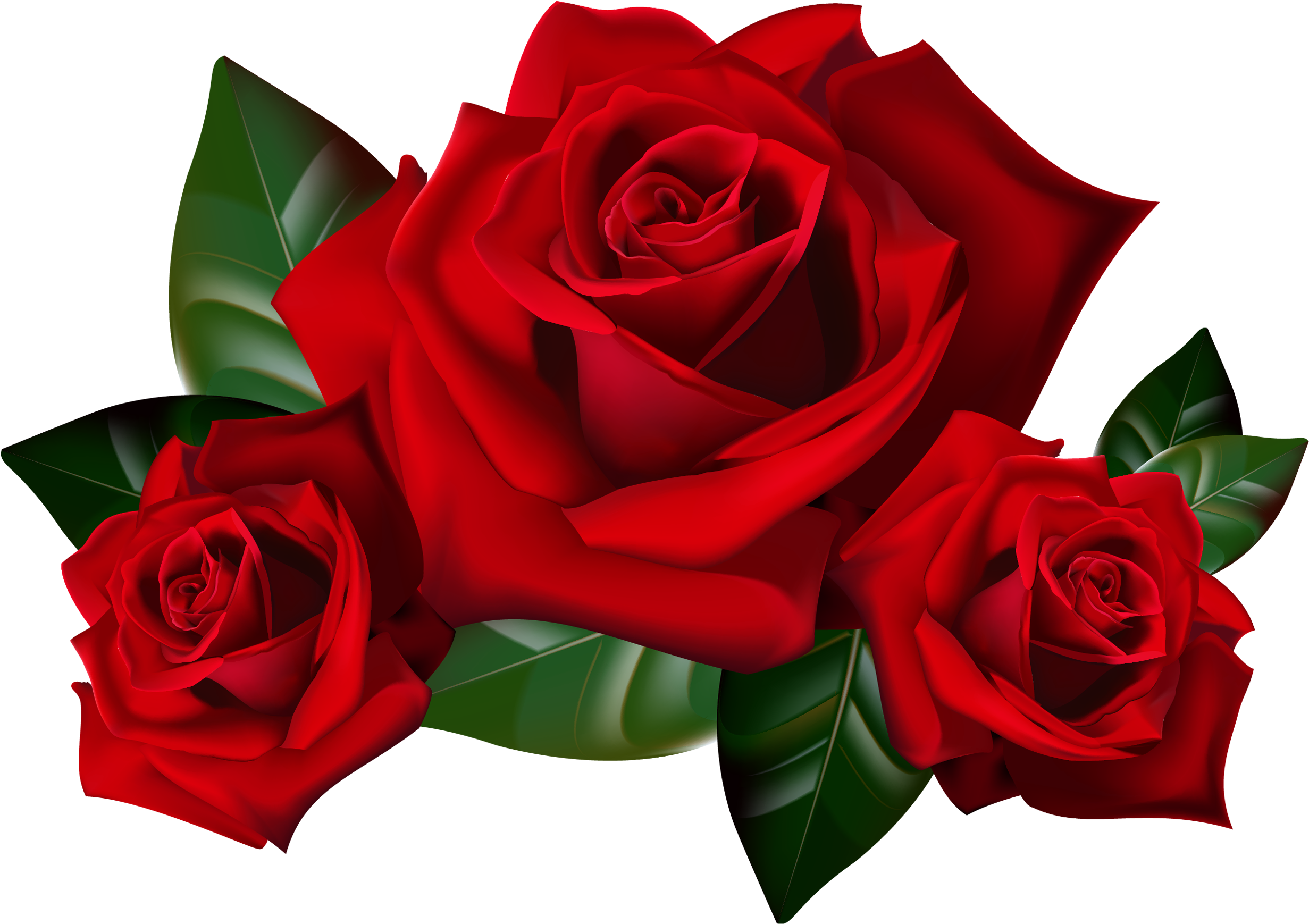 Download Original Resolution Free Red Rose Clipart - Rose Transparent (2880x1800)