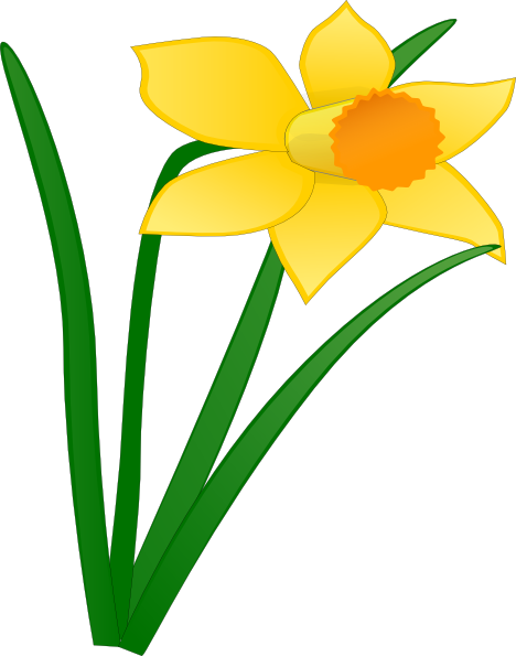 Scoil Bhríde Newsletter February - Daffodil Clip Art (468x595)