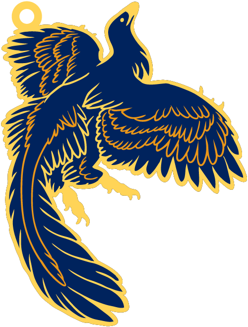 Any Orders Placed Between The 19th-28th February 2016 - Illustration (500x658)