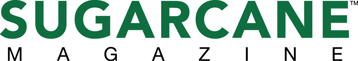 January - January (1200x205)