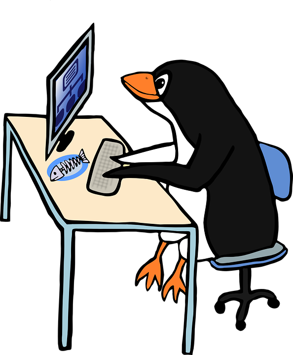 February - Penguin On A Computer (600x725)