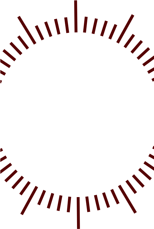 Graduation Montre (511x800)