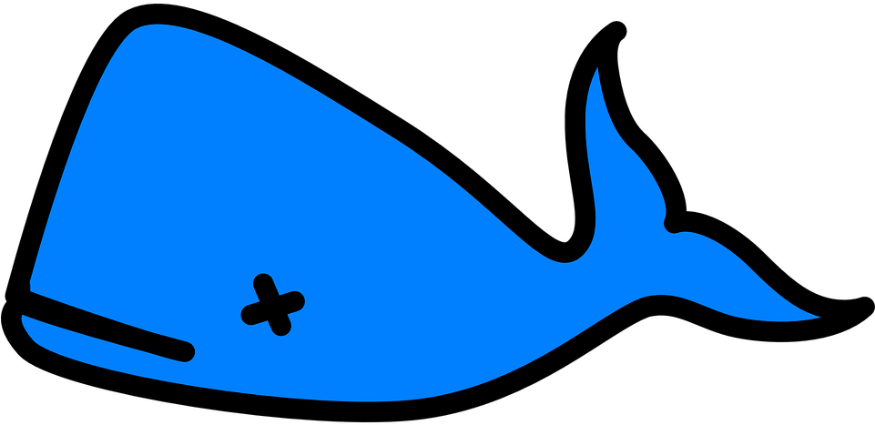 Dead Whale Drawing - Clip Art Blue Whale (960x480)