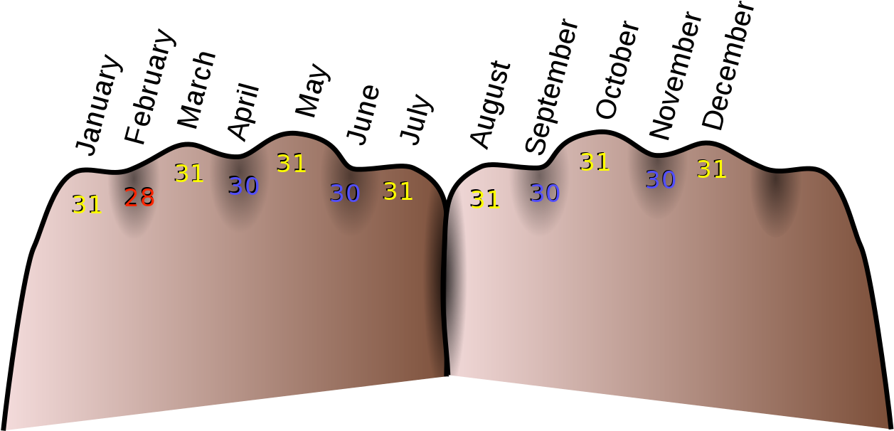 Many Months Have 28 Days Of The Year Clipart - Thirty Days Hath September (1280x626)
