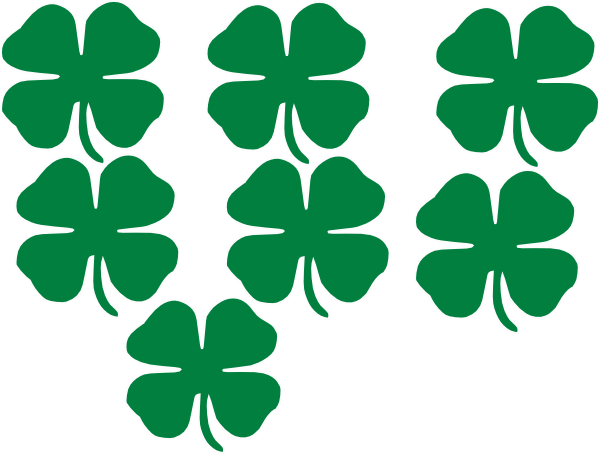 Portfolio Pictures Of Shamrocks Clip Art At Clker Com - Shamrocks Clip Art (600x454)