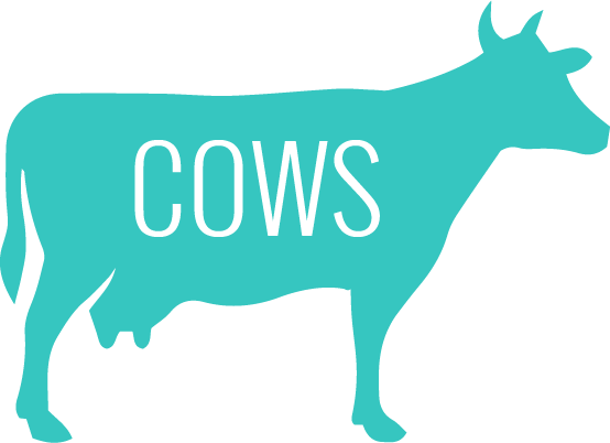 Return Of The "plant Whisperer" - Killing The Shadows By Val Mcdermid (554x402)